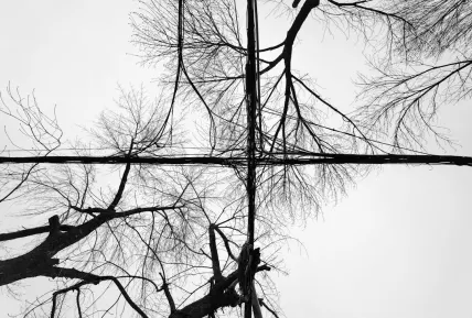 Crystal Casino Aplicación móvil